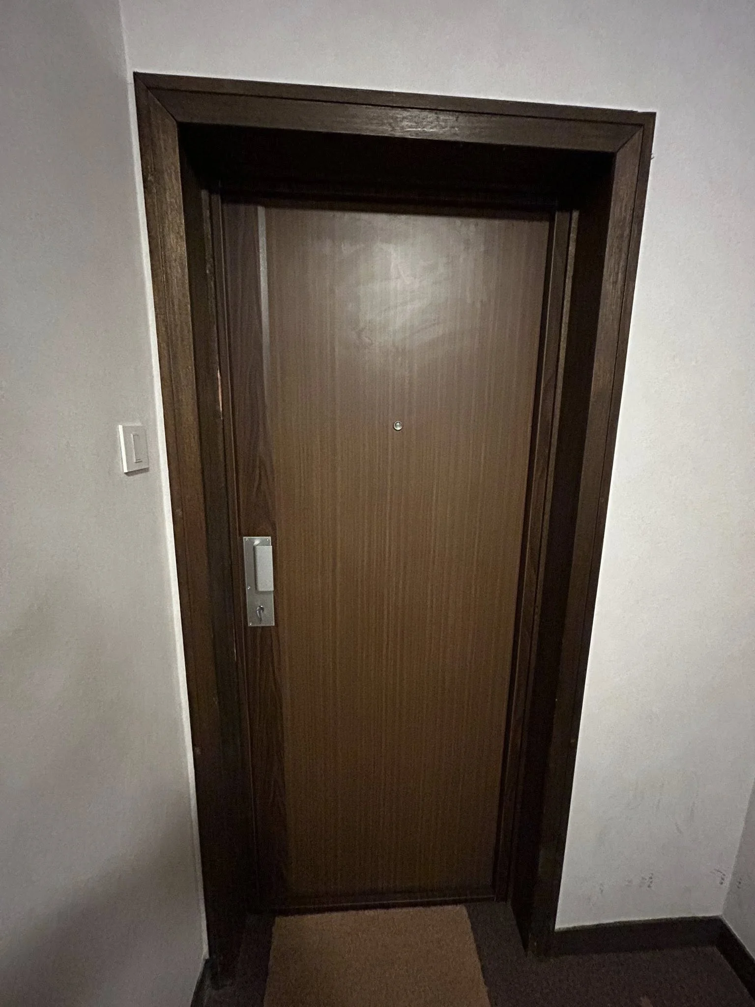 Blindage de porte + serrure fichet alicea - Image 1